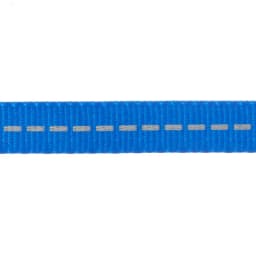 Reflective Polyester Dog Leash, Blue, Medium, 5 Feet