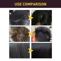 EELHOE Black Hair Shampoo Rehmannia Extract Nourishing Scalp Care Smooth Shiny Hair Gentle Daily Cleansing For Soft Manageable Hair