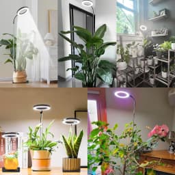 72 LEDs Full Spectrum Plant Grow Light 65 Inch Adjustable Height Automatic Timer with 3/9/12 Hours 10-Level Brightness 360 Degree Gooseneck for Indoor Plants Homes Offices