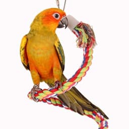 Bird cage perch for parrots and parakeets, cotton rope material, multi-color, bendable and soft for foot exercise and comfort