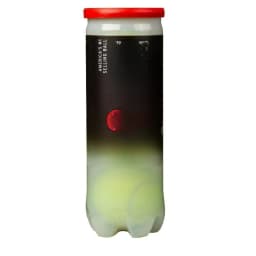 (2 pack) Regular Duty Tennis Balls (1 can, 3 balls)