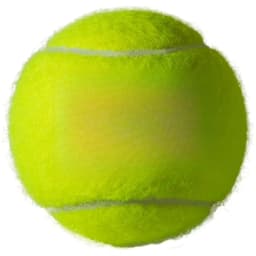 (2 pack) Regular Duty Tennis Balls (1 can, 3 balls)