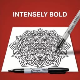 60pcs Fine Point Permanent Markers Pens, Perfect for Classroom, Office, Durable and Long-Lasting. No Suitable for Whiteboard
