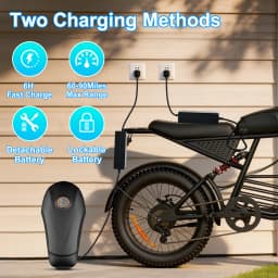 FLIWIN 3000W Dual Motors Electric Bike, 48V 35Ah Battery, 20" Fat Tire Ebike, 7-Speed with Dual Suspension, UL 2849, US Warehouse, 1 Year Warranty