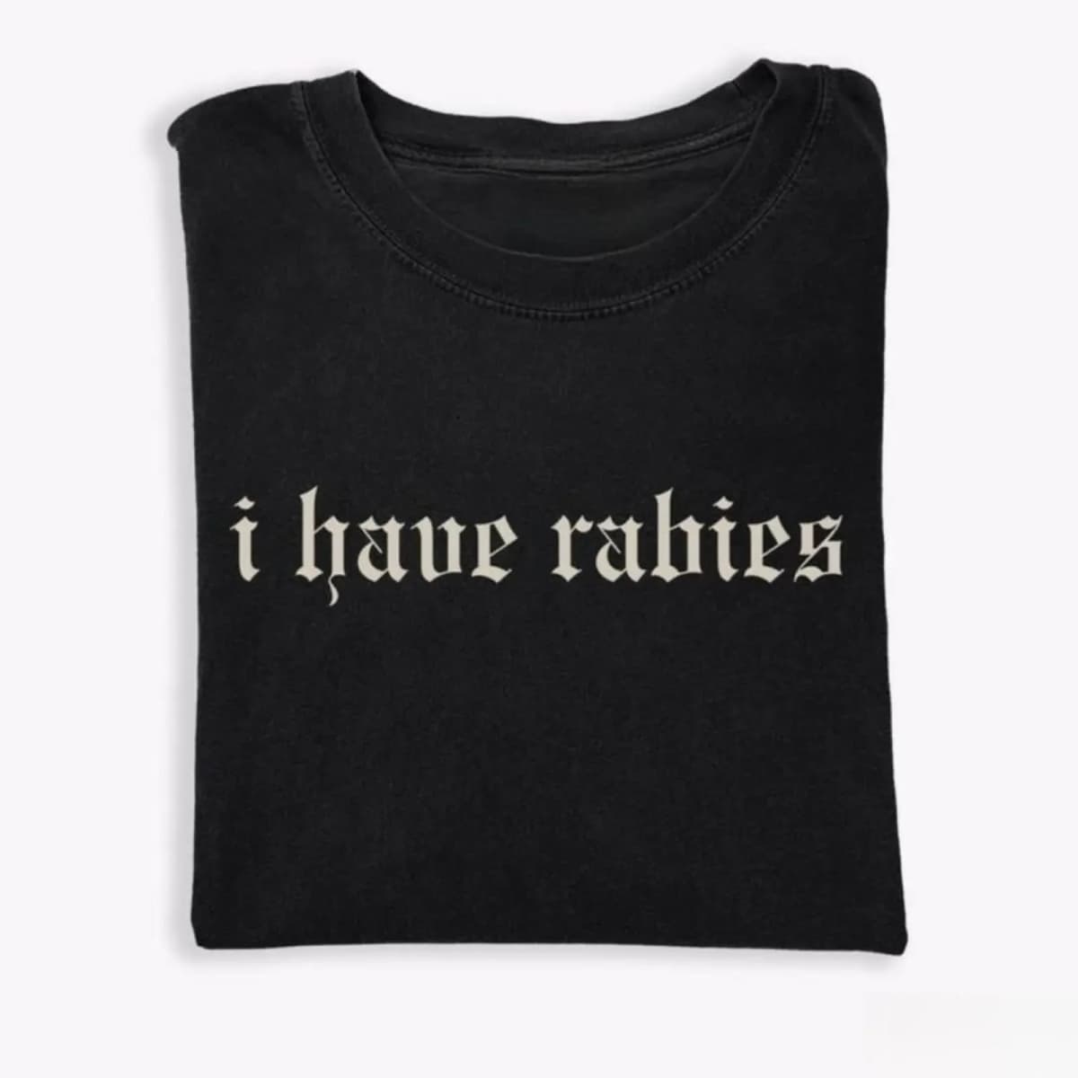 I Have Rabies Funny T-shirt, Unhinged Shirts, Weird Gift for Friend/ Sister, Humor Tee, Gen z Meme Tee, Silly Gifts