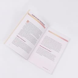The Beginner's Bible Study Guide: An Introduction to All 66 Books of the Bible