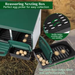 2 Hole Metal Heavy Duty Chicken Coop Nesting Box with Lid Cover to Protect Eggs