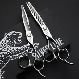 Professional Hairdresser Scissors 6.0 Inch with Roller Bearing Hair Cutting Shears for Stylists
