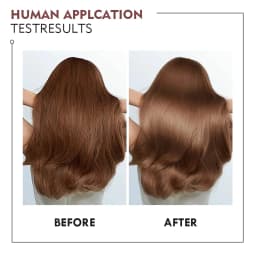 Karseell 3pcs Set Collagen Hair Mask + Argan Oi + Hair Shampoo Essence Moisturizing Repair Set for Dry Damaged Hair Gift