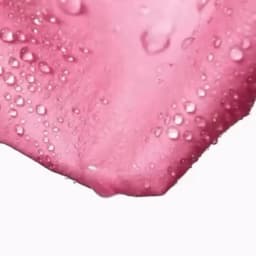Medicube Salmon DNA PDRN Pink Peptide Serum,Serum Texture,Complex Repair Ingredients,Lifting & Firming,K-Beauty,Korean Makeup