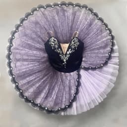 Professional Ballet Tutu Girls Blue Pink Platter Pancake Tutu Ballerina Party Dress Adult Women Child Kids Ballet Dance Costume
