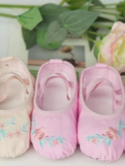 Girls Embroidered Ballet Shoes women Soft Dance Shoes for Training Performance Non-Slip Ballerina Shoes Professional Dance Flats
