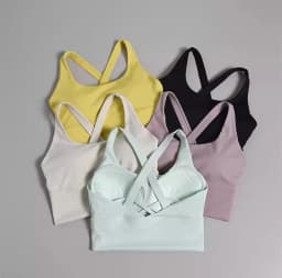 Seamless Sports Bra Collection Breast High-intensity Professional Shock-proof Huddle Running Bra Yoga Fitness Bra Summer Cloth
