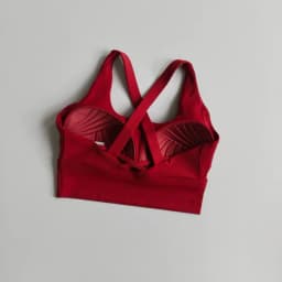 Seamless Sports Bra Collection Breast High-intensity Professional Shock-proof Huddle Running Bra Yoga Fitness Bra Summer Cloth
