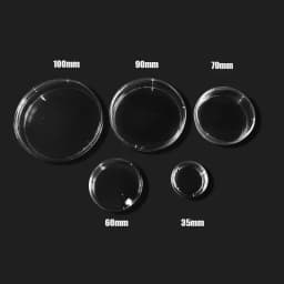 10PCS 60mm Clear Petri Dishes Affordable For Microorganisms Cell Plastic Clear Sterile Chemical Instrument