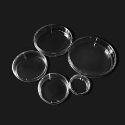 10PCS 60mm Clear Petri Dishes Affordable For Microorganisms Cell Plastic Clear Sterile Chemical Instrument