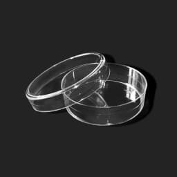10PCS 60mm Clear Petri Dishes Affordable For Microorganisms Cell Plastic Clear Sterile Chemical Instrument