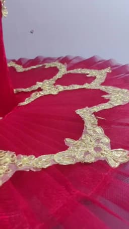 Red Black White Ballet Tutu Skirt Velvet Top Professional Belly Dance Costumes White Swan Lake Costumes Performance Clothing