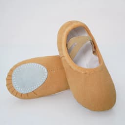 Women Ballet Shoes Girls Professional Ballet Slippers Split Sole Dance Shoes Adult Modern Dance Training Shoes Yoga Indoor Shoes