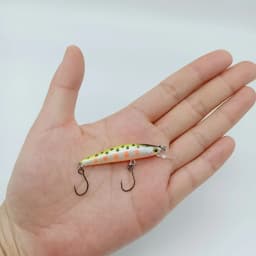 DUODUOYU 1PCS Floating Minnow Fishing Lures 5cm/2g Wobbler Artificial Bait With Double Single Hooks Bass Bait Goods for fishing