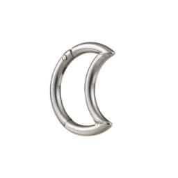 Titanium Steel Nose Ring Nase Septum Piercing Ring Leaf Chain Beads For Women Men Cartilage Earring Stud Piercing Gothic Jewelry
