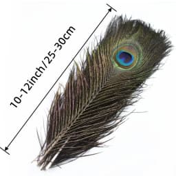 10/20Pcs Natural Peacock Feathers Crafts DIY Plumas Wedding Party Feathers Hair Christmas Jewelry Making Decoration Accessories