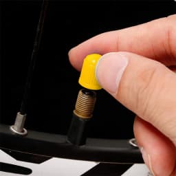 Universal Dustproof Caps Car Tire Valve Stem Caps Bolt-In Car Bike Wheel Tires Valves Tyre Stem Air Caps Auto Accessoires 20PCS