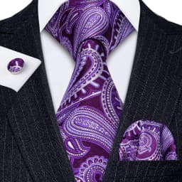 Male Gift Men Tie Set Purple Violet Solid Paisley Striped Wedding Business Tie for Man Necktie Handky Cufflinks Barry.Wang