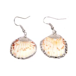 New In Natural Shell Sea Scallop Drop Earrings Boho Shell Drop Earrings for Women Femal Sea Beach Earrings Summer Jewelry Gifts