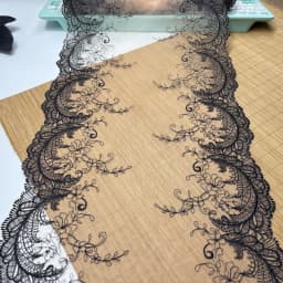 Bilateral Embroidered Lace Trim Net Embroidery Tulle Lace Fabric Mesh DIY Lace Sewing Fabric Bra Crafts for Lingerie Needle Work