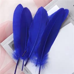 15Cm-20Cm Big Natural Goose Feathers For Crafts Decoration Carnival Jewelry Making Accessories Goose Feather DIY Pens Decorative