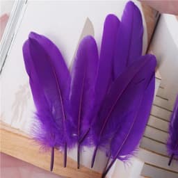 15Cm-20Cm Big Natural Goose Feathers For Crafts Decoration Carnival Jewelry Making Accessories Goose Feather DIY Pens Decorative