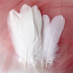15Cm-20Cm Big Natural Goose Feathers For Crafts Decoration Carnival Jewelry Making Accessories Goose Feather DIY Pens Decorative