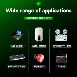 PALO 1.5V D Size Rechargeable Battery Type-C USB Charging LR20 Li-ion Batteries R20 Lithium Battery for Heater Gas Stove