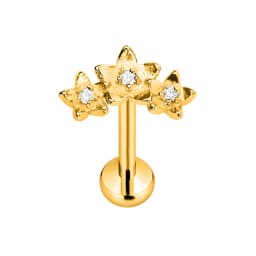 ASTM F136 G23 Titanium Flower Petals Star Heart Butterfly Threadless Piercing Pin Push in Labret Daith Conch Earring 16G 18G 20G