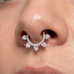 ASTM F136 Titanium EAR PIERC Nose Ring Teeth Tip CZ Ring Hoop Nose Rings Hinged Clicker Earring Ring factory Body Piercing