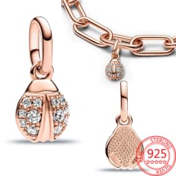 Exquisite 925 Sterling Silver Dragonflies&Earth&Ladybugs&Keys&Shells&Flowers Charm Fit Brand Bracelet Ladies DIY Jewelry