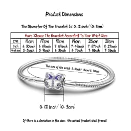 Manyilus 925 Silver Bracelet Real Bracelets 925 Girls Italian Charm Original Women Braclet Pendant Paired Jewelry Charms Money