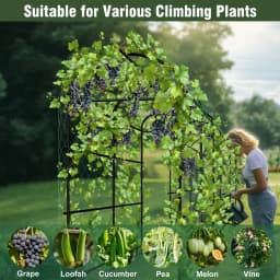 U-Shaped Metal Garden Trellis|flower stand|plant rack|plant shelf, for Climbing Plants, Outdoor Plant Support Frame