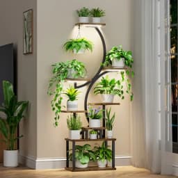8 Tier Curved shaped Plant Stand with Full Spectrum Grow Lights, Heavy Duty Metal Frame Wood Plant Shelves for Multiple Potted Plants, Indoor Tall Corner Flower Display Rack for Living Room, Balcony, Office