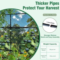 U-Shaped Garden Trellis Plant Climbing Frame for Climbing Vegetables And Flowers Metal Greenhouse Support Frame