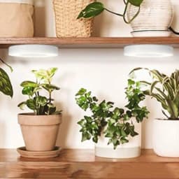 Full Spectrum Ceiling Grow Light 4 Dimmable Levels LED Plant Light Height Adjustable Under Cabinet Plant Lamp for Small Plants