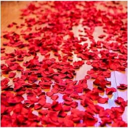 2000 Pieces of Silk Cloth with Simulated Petals, Rose Petals, Wedding Room Decoration, and Wedding Supplies