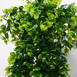 1Pcs Artificial 5Forks Rattan Eucalyptus Wall Hanging Simulation Greenery Fake Hanging Plants Vine Diy Home Outdoor Decor Plant