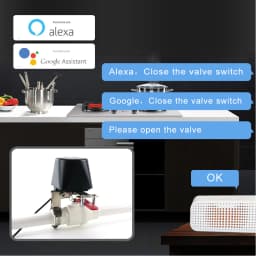 Works with TUYA APP Zigbee Smart Gas Valve WIFI Garden Water Shut Off Timer Irrigation Controller with Alexa Google Assistant