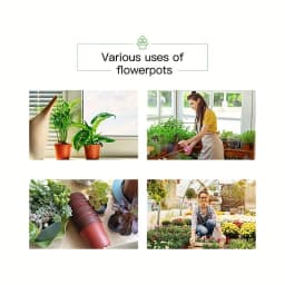 50-Pack Americana Style Nursery Pots - Versatile Indoor/Outdoor Seedling Containers, Durable & Decorative
