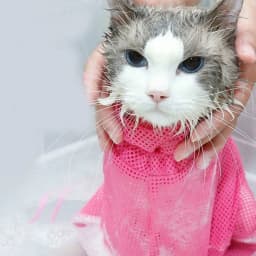 Adjustable Mesh Cat Bathing Bag Anti Scratch Cats Grooming Washing Bags for Pet Nail Trimming Injecting Cat Grooming Massage Bag
