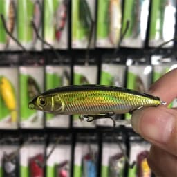 LURETV Japanese Chili Karashi Slow Sink Pull Stop Pencil Sea Bass Lurie 6/7.5 cm 5/10 g 8035