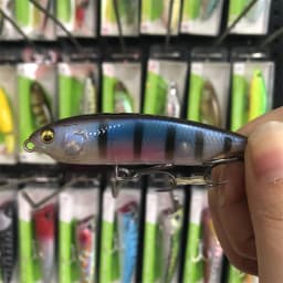 LURETV Japanese Chili Karashi Slow Sink Pull Stop Pencil Sea Bass Lurie 6/7.5 cm 5/10 g 8035