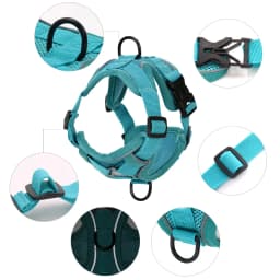 Breathable Cat Harness Leash for Small Medium Dogs Cats Adjustable Reflective Harnesses Pets Vest Puppy Maine Sphynx Supplies